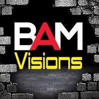 Порно студия Bam Visions