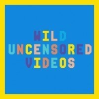 Порно студия Wild Uncensored Videos