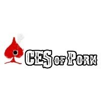 Порно студия Aces Of Porn