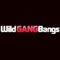 Порно студия Wild GangBangs