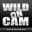 Wild On Cam лого